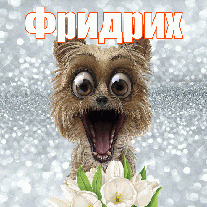 Фридрих! Красивого тебе утра! Красивая открытка Фридриху!
