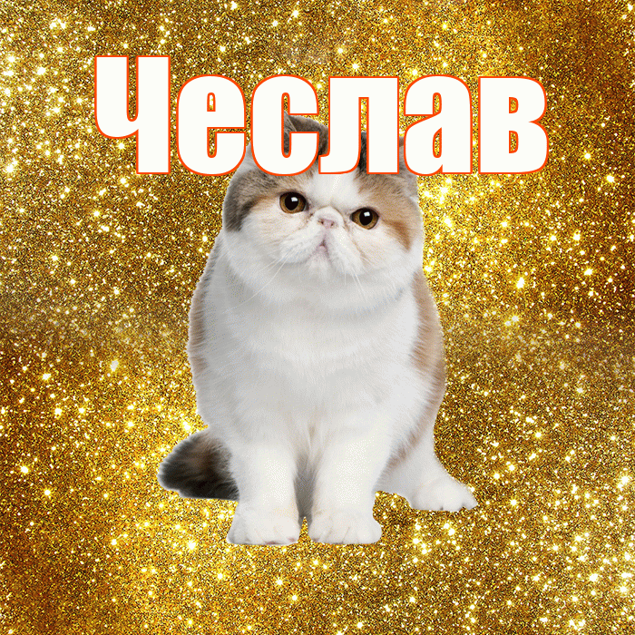 Чеслав! Красивого тебе утра! Красивая открытка Чеславу!