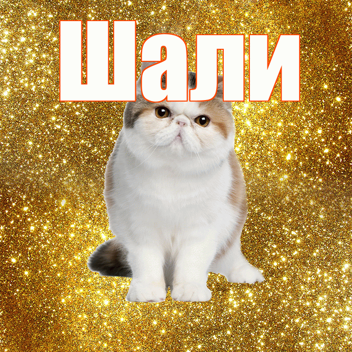 Шали! Красивого тебе утра! Красивая открытка Шали!