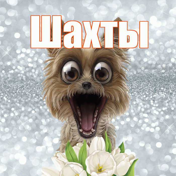 Шахты! Красивого тебе утра! Красивая открытка Шахты!