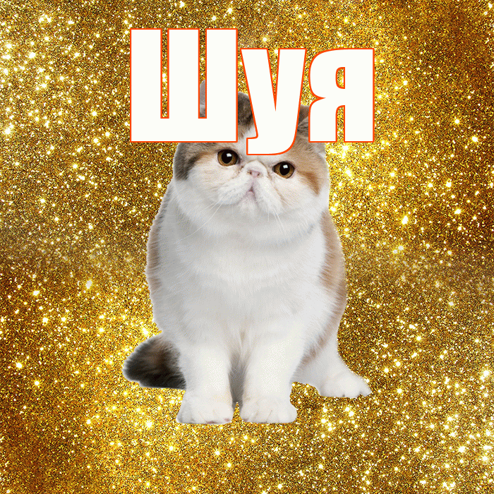 Шуя! Красивого тебе утра! Красивая открытка Шуи!