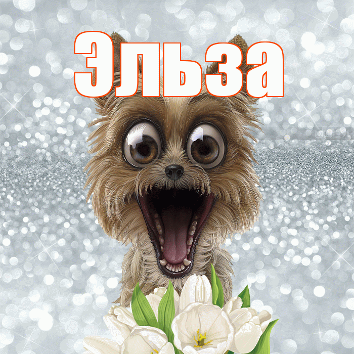 Эльза! Красивого тебе утра! Красивая открытка Эльзе!