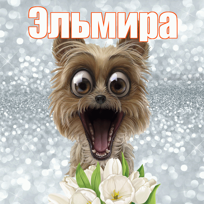 Эльмира! Красивого тебе утра! Красивая открытка Эльмире!