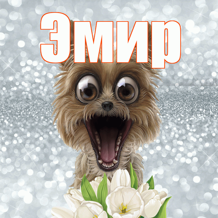 Эмир! Красивого тебе утра! Красивая открытка Эмиру!