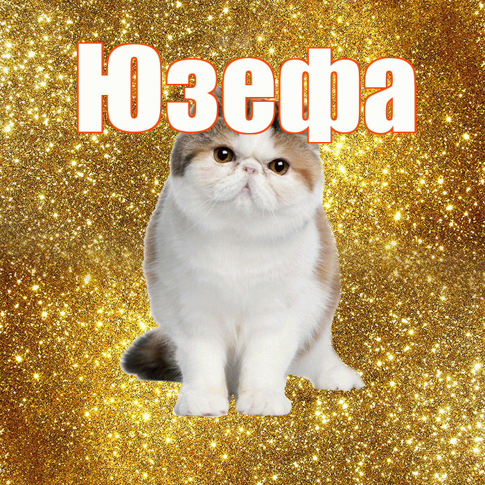 Юзефа! Красивого тебе утра! Красивая открытка Юзефовне!