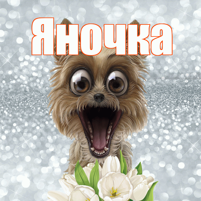 Яночка! Красивого тебе утра! Красивая открытка Яночке!