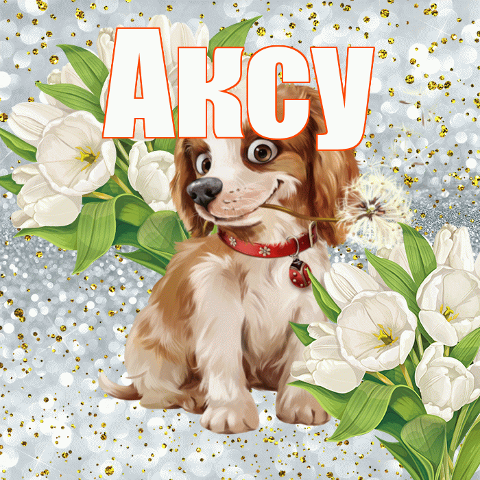 Аксу! Не грусти! Красивая открытка Аксу!