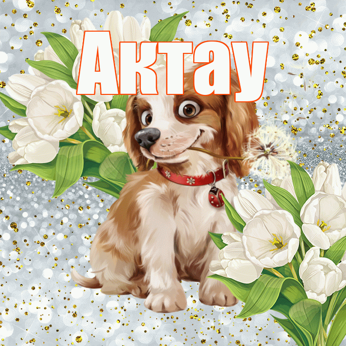 Актау! Не грусти! Красивая открытка Актау!