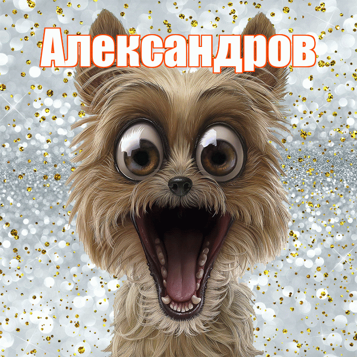 Александров! Не грусти! Красивая открытка Александрову!