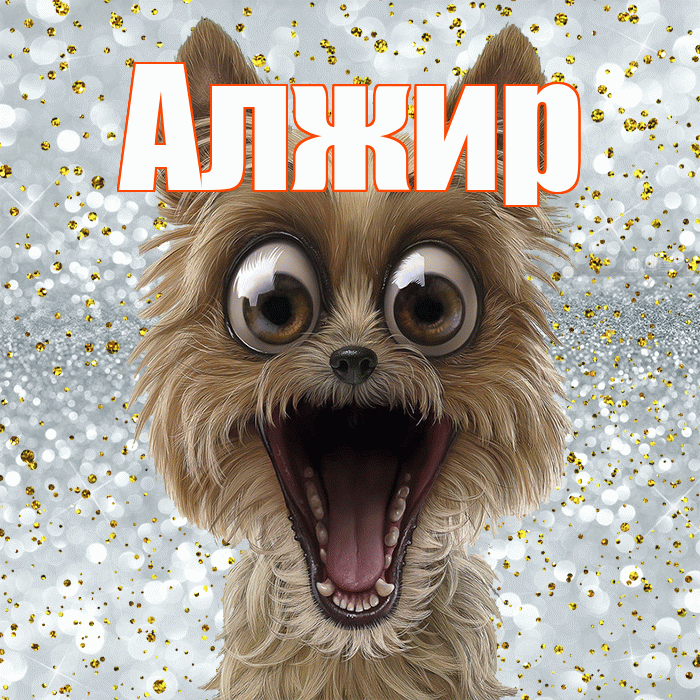 Алжир! Не грусти! Красивая открытка Алжиру!