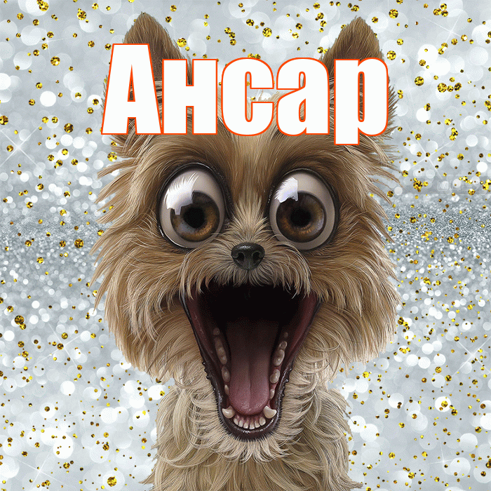 Ансар! Не грусти! Красивая открытка Ансару!