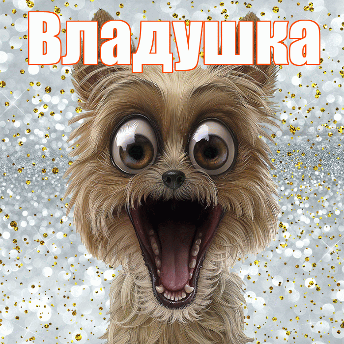 Владушка! Не грусти! Красивая открытка !
