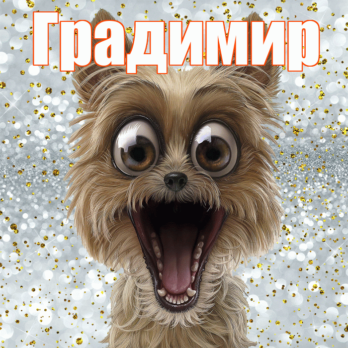 Градимир! Не грусти! Красивая открытка Градимиру!