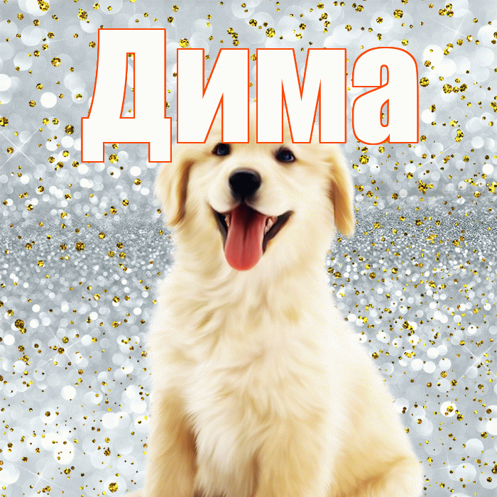 Дима! Не грусти! Красивая открытка Диму!