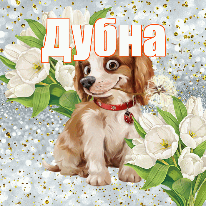 Дубна! Не грусти! Красивая открытка Дубне!