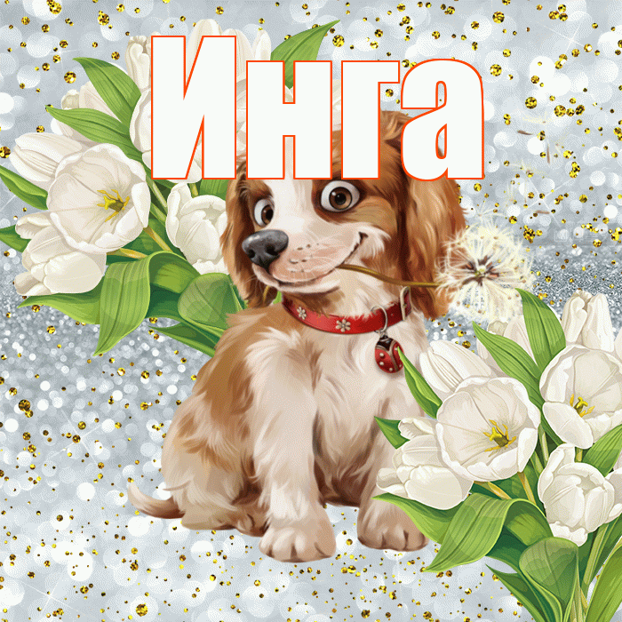 Инга! Не грусти! Красивая открытка Инге!