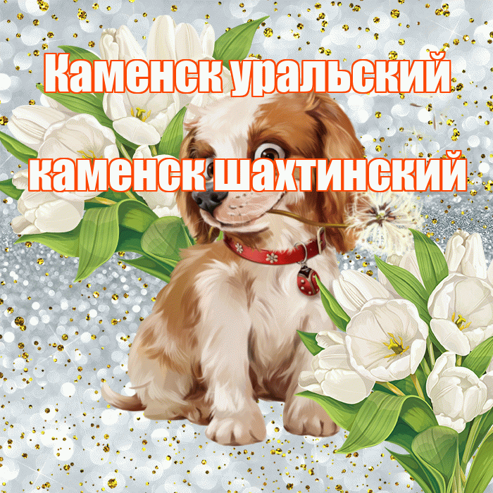 Каменск уральский каменск шахтинский! Не грусти! Красивая открытка !