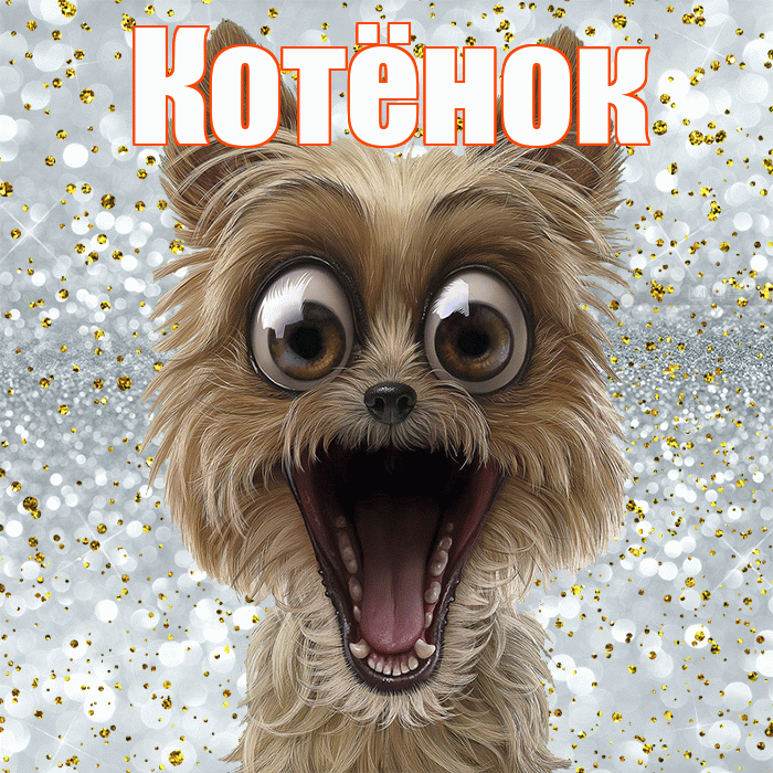 Котёнок! Не грусти! Красивая открытка !