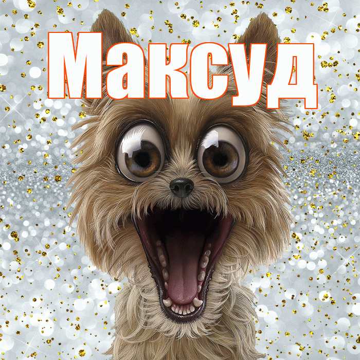 Максуд! Не грусти! Красивая открытка Максуду!