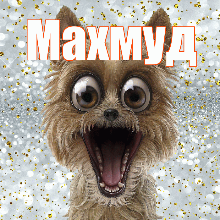 Махмуд! Не грусти! Красивая открытка Махмуду!