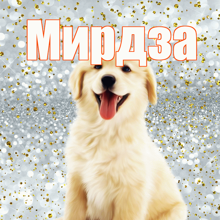 Мирдза! Не грусти! Красивая открытка Мирдзой!