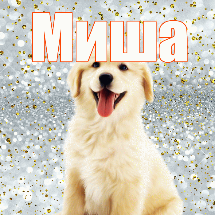 Миша! Не грусти! Красивая открытка Мише!