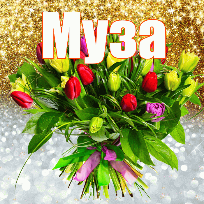 Муза! Не грусти! Красивая открытка Музе!