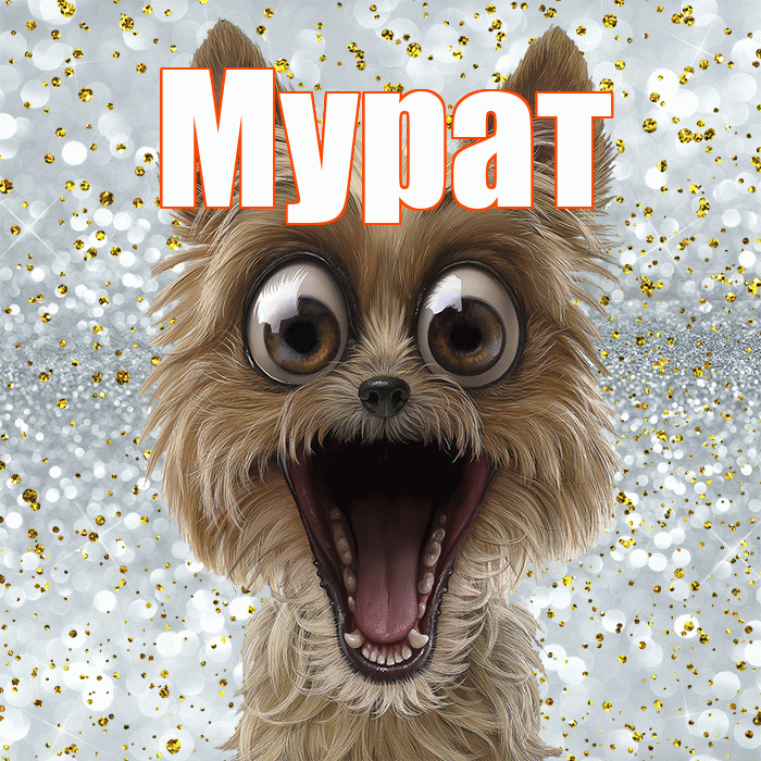 Мурат! Не грусти! Красивая открытка Мурату!