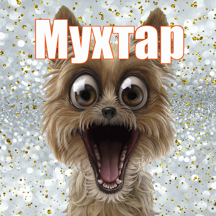 Мухтар! Не грусти! Красивая открытка Мухтару!