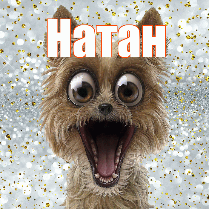 Натан! Не грусти! Красивая открытка Натану!