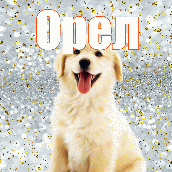 Орел! Не грусти! Красивая открытка Орелу!