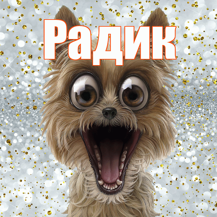 Радик! Не грусти! Красивая открытка !