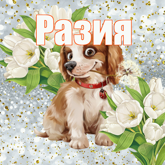 Разия! Не грусти! Красивая открытка Разии!