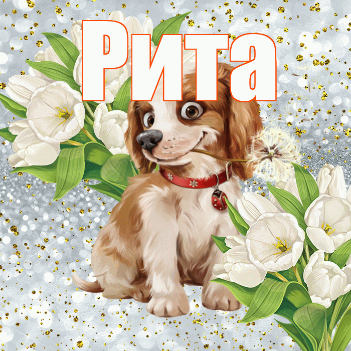 Рита! Не грусти! Красивая открытка Рите!