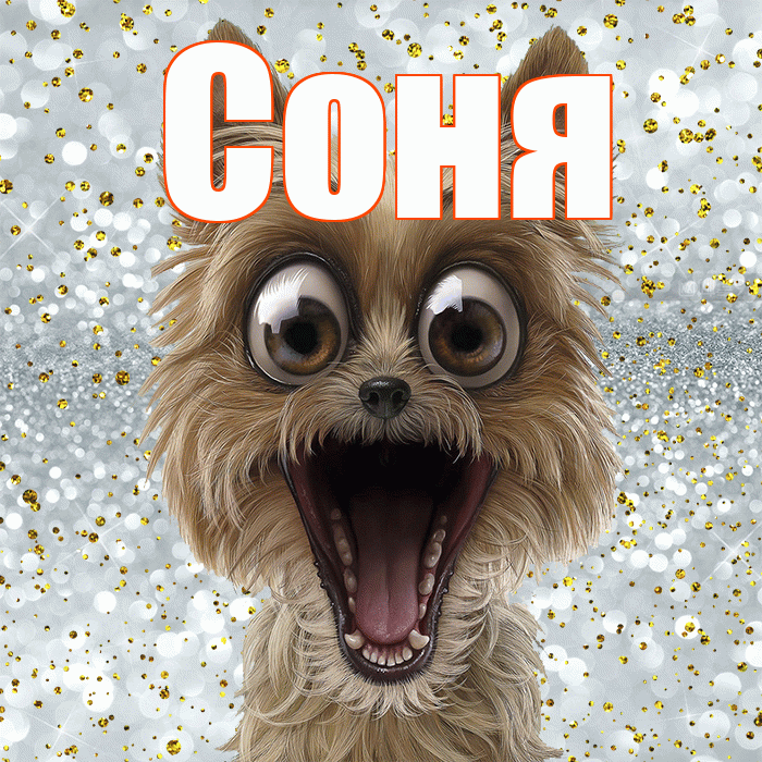 Соня! Не грусти! Красивая открытка Соне!