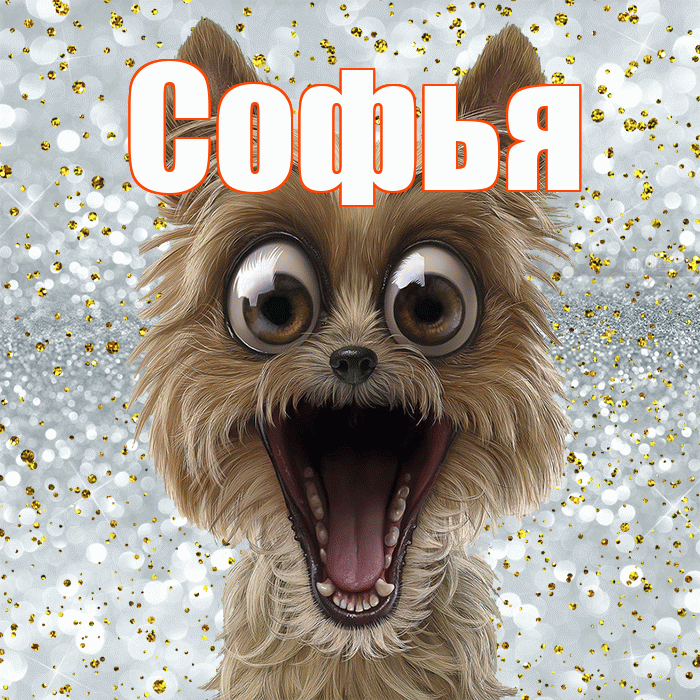 Софья! Не грусти! Красивая открытка Софье!