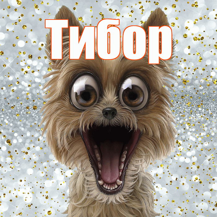 Тибор! Не грусти! Красивая открытка Тибору!