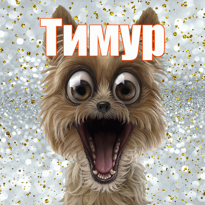 Тимур! Не грусти! Красивая открытка Тимуру!
