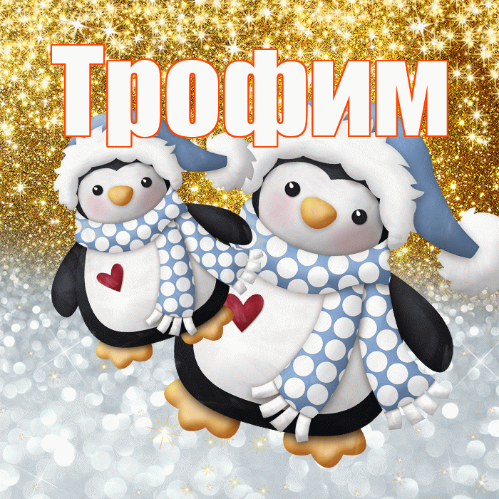 Трофим! Не грусти! Красивая открытка Трофиму!