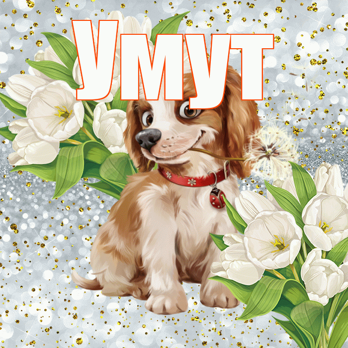 Умут! Не грусти! Красивая открытка Умуту!
