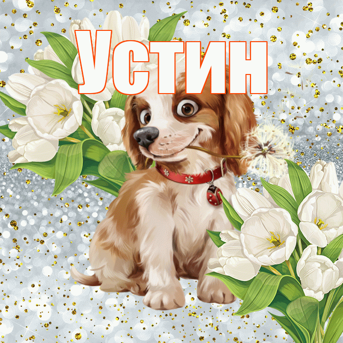 Устин! Не грусти! Красивая открытка Устину!