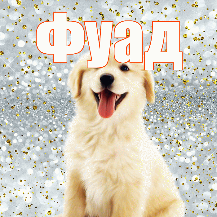 Фуад! Не грусти! Красивая открытка Фуаду!