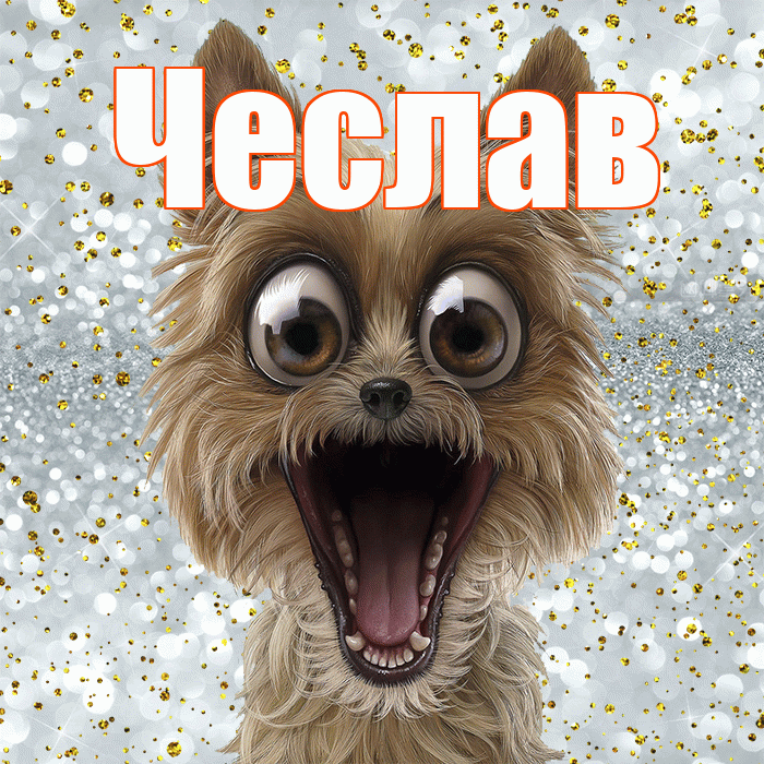 Чеслав! Не грусти! Красивая открытка Чеславу!