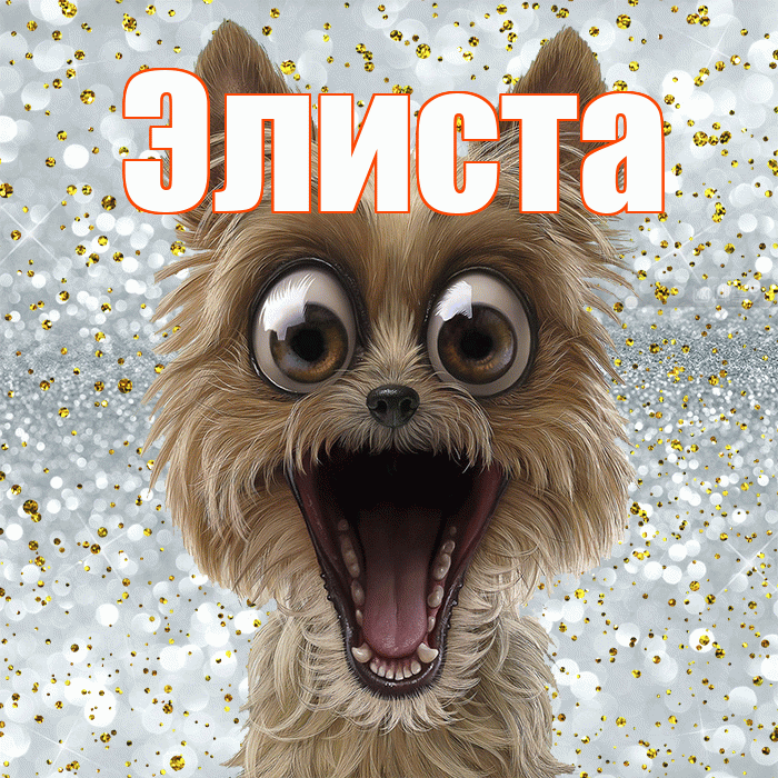 Элиста! Не грусти! Красивая открытка Элисте!