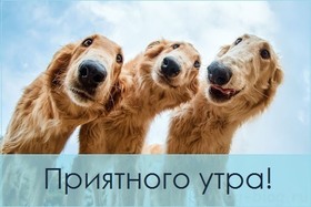 Открытка! Пожелание доброго утра! С добрым утром! Красивая открытка! Милая, с добрым утром! Вот и наступил новый день, который...