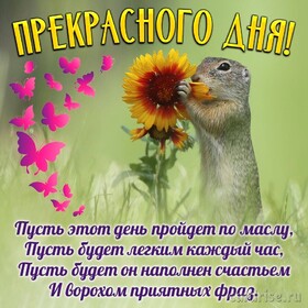 Картинка! От всей души пожелание прекрасного дня, открытка доброго дня! Желаю от всего сердца, чтобы твой Ангел Хранитель всегда...
