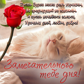 Новая открытка! Лучшее пожелание отличного дня! Красивая картинка! Пусть отдых будет наполнен яркими впечатлениями, вкусными...