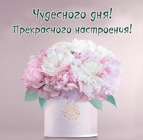 Картинка! Хорошего дня. Картинка с пожеланием доброго дня. Дорогая моя, любимая подруга! От всей светлой души и от...