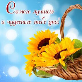 Новая картинка! От всей души пожелание прекрасного дня, открытка доброго дня! Пусть удача не имеет шансов ускользнуть от вас, пусть...