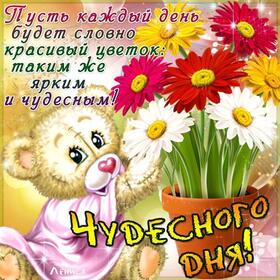 Новая картинка! Добрый день, россияне! Прекрасного всем дня! Жизнь — это череда самых разнообразных событий. И часто для...
